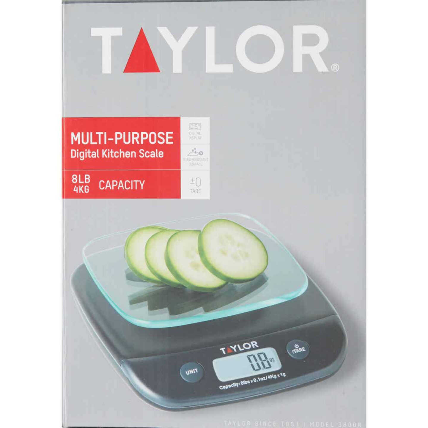 Taylor 8 Lb. Capacity Digital Food Scale